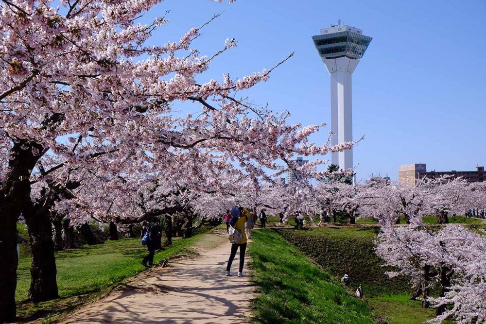 Travel Hakodate