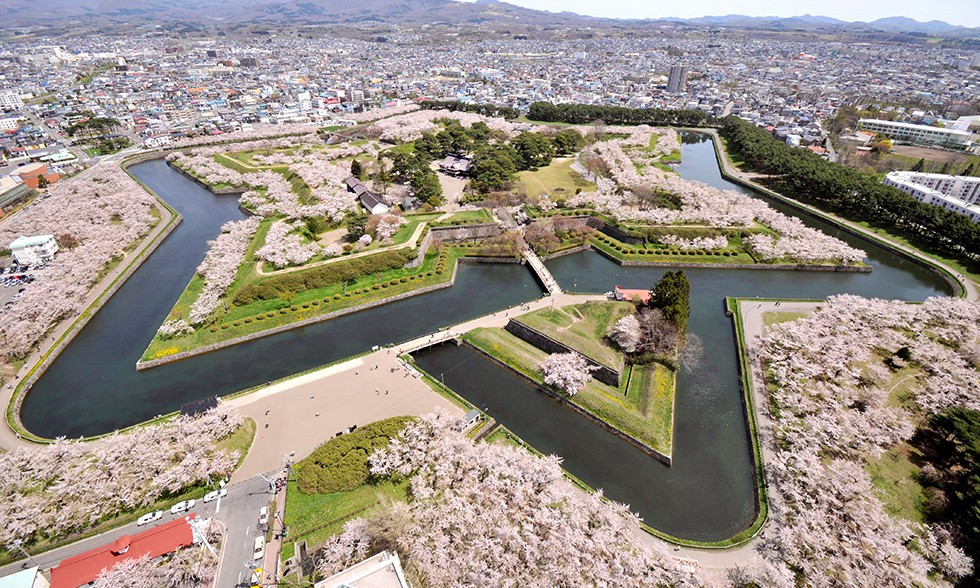 hakodate.travel