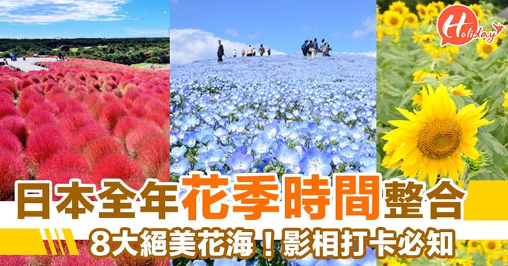 日本全年花季時間整合～8大絕美花海！影相打卡必知