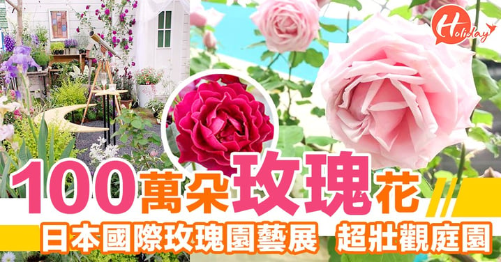 日本國際玫瑰園藝展～超壯觀庭園設計＋100萬朵玫瑰花！