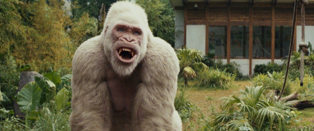 Warner Bros. Pictures