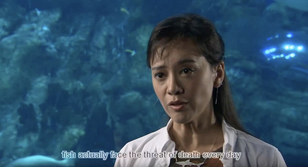 YouTube - HKETV