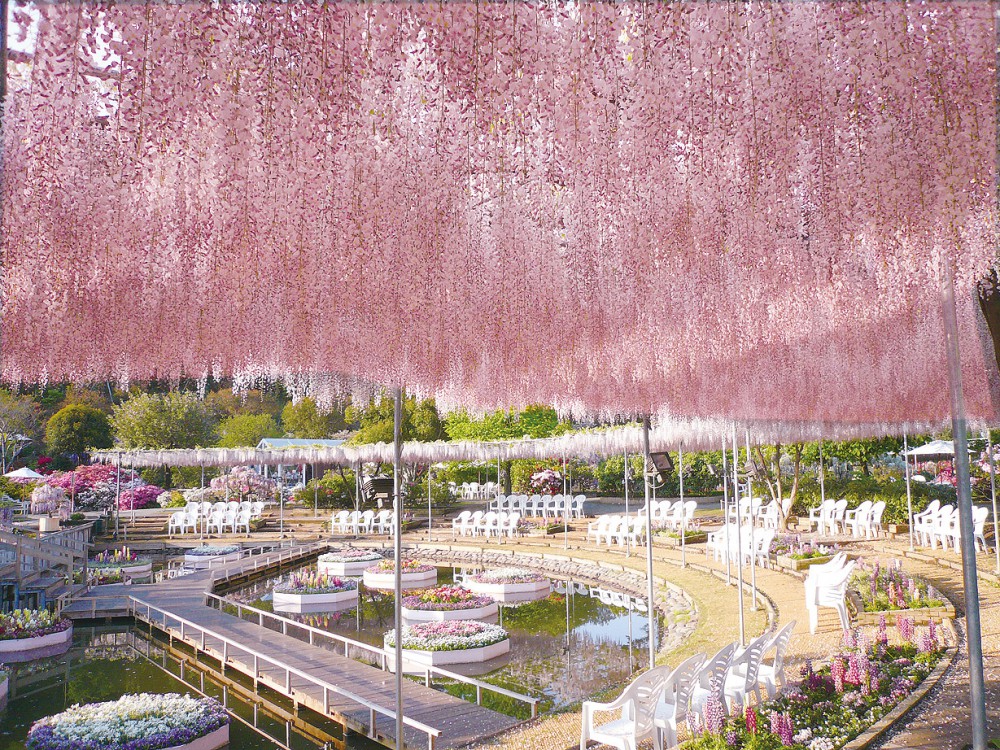 足利花卉公園官網