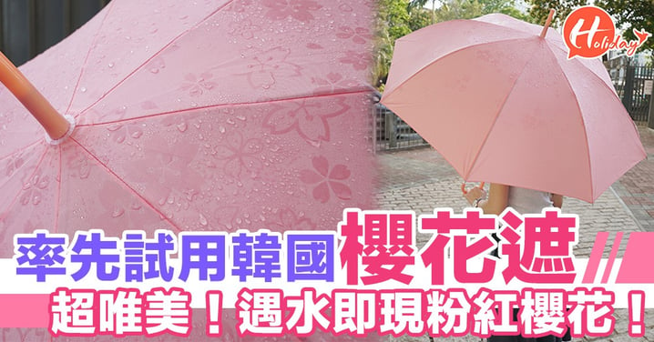 遇水即現粉紅櫻花！小編率先試用韓國大熱「櫻花雨遮」！