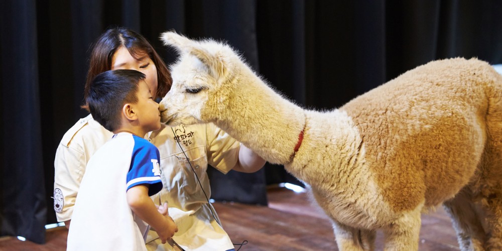 ALPACA WORLD