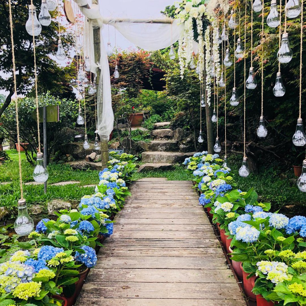 Photo from FB@大梯田花卉生態農園