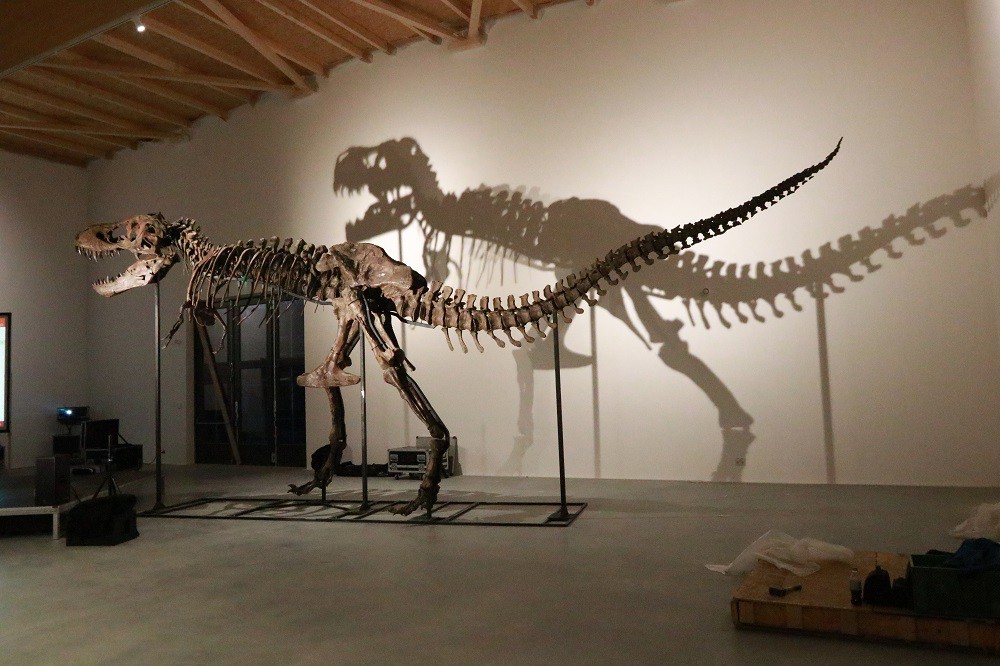 Photo from 「MEET THE T.REX:探索暴龍世界」
