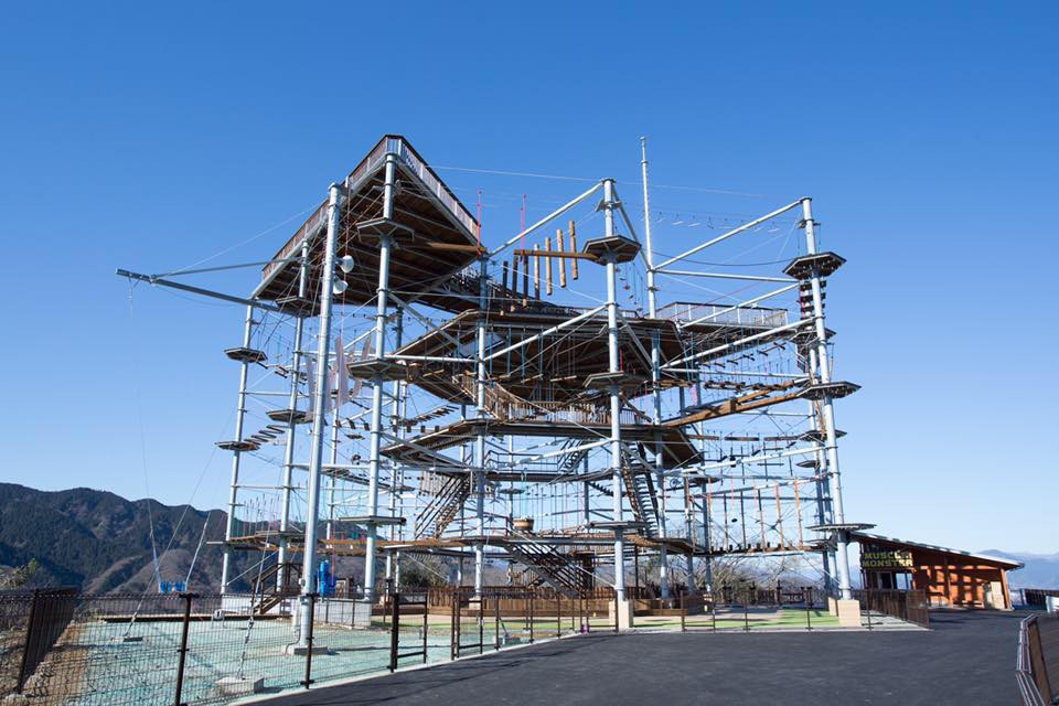 さがみ湖リゾート プレジャーフォレスト