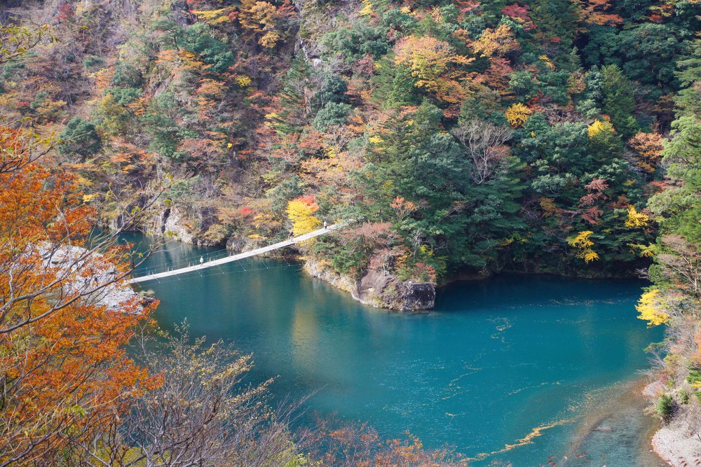 Photo from FB@夢の吊橋