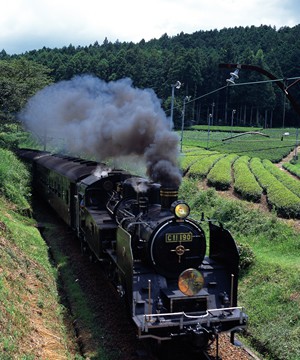 Photo from Sumatakyo-spa