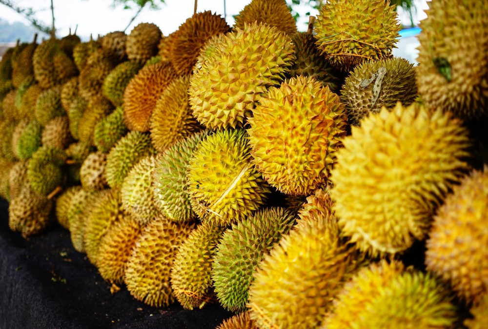 shutterstock_680667967