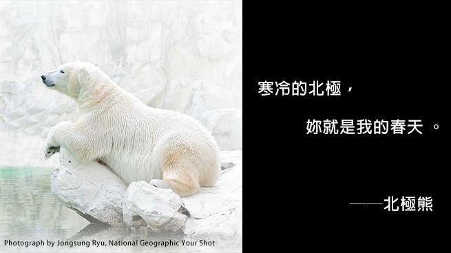國家地理雜誌