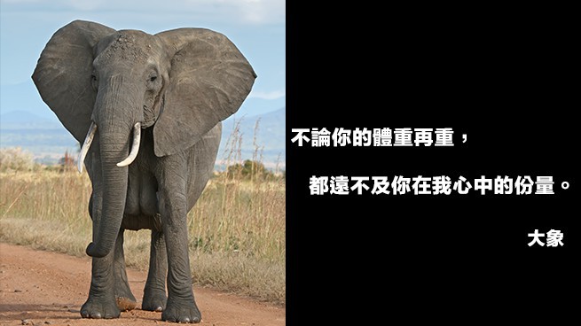 《Teepr亮點新聞》