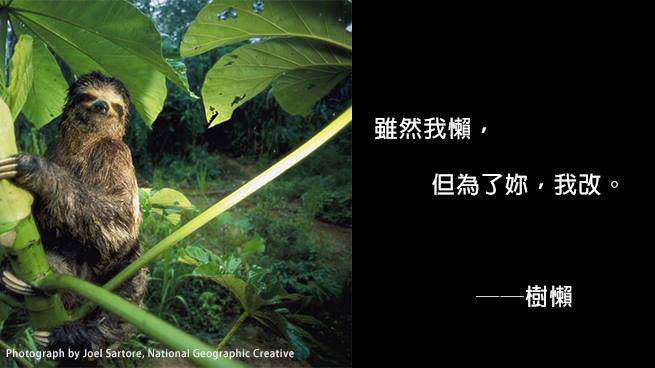 國家地理雜誌