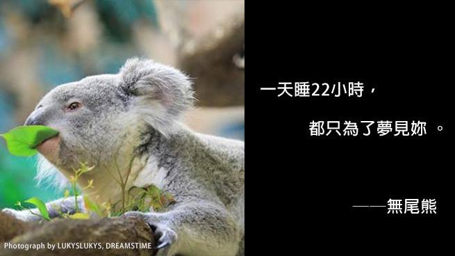 國家地理雜誌