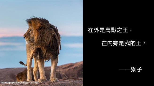 國家地理雜誌