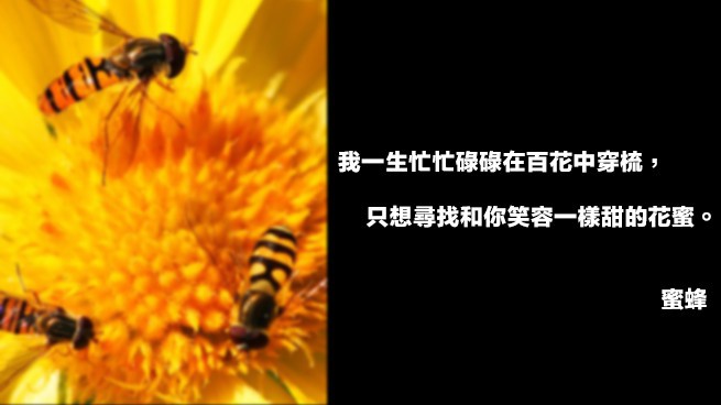 《Teepr亮點新聞》