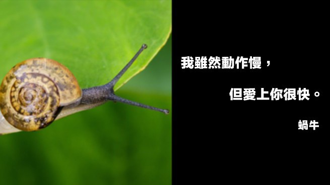 《Teepr亮點新聞》