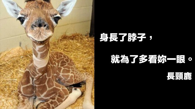 國家地理雜誌網民