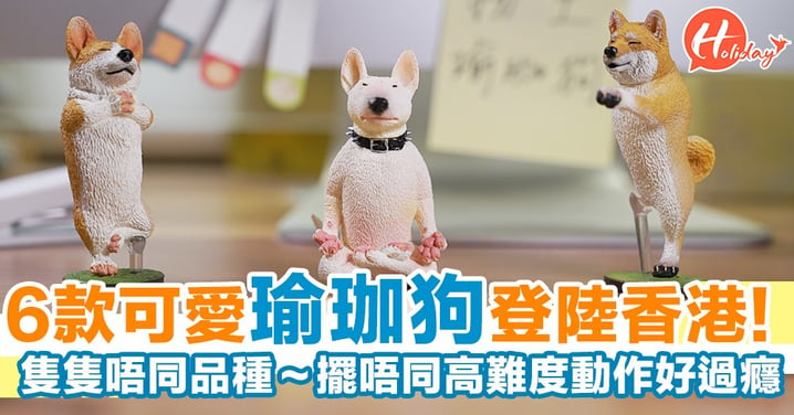 一共6款超可愛瑜珈狗登陸香港！喺日本台灣引起搶購熱潮