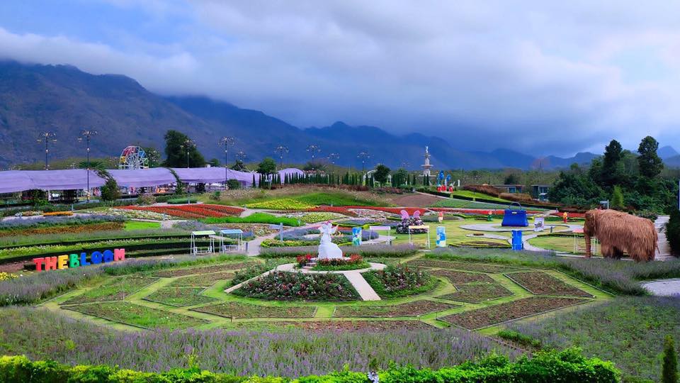 The Bloom by Tvpool Kaoyai@FB