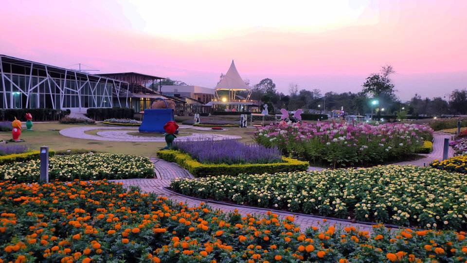 The Bloom by Tvpool Kaoyai@FB