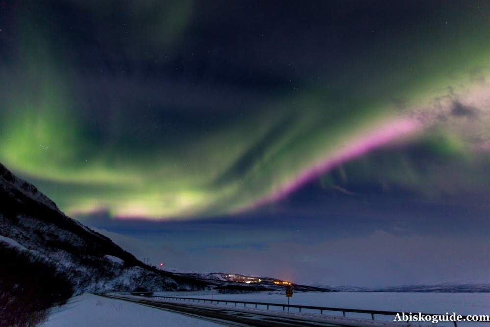 Abisko Guide