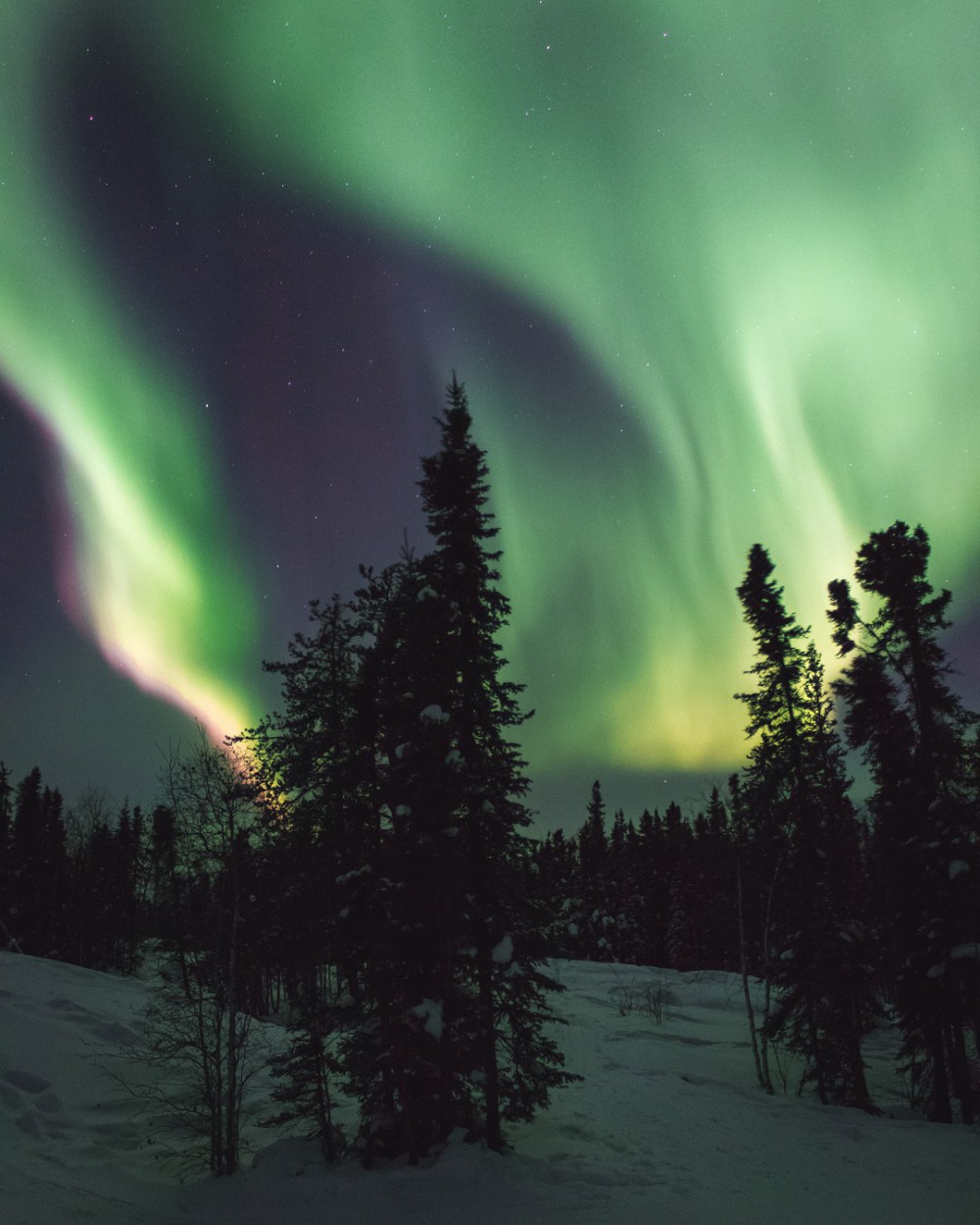 Aurora Village