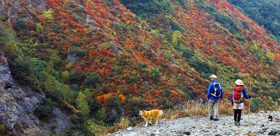 Pinterest