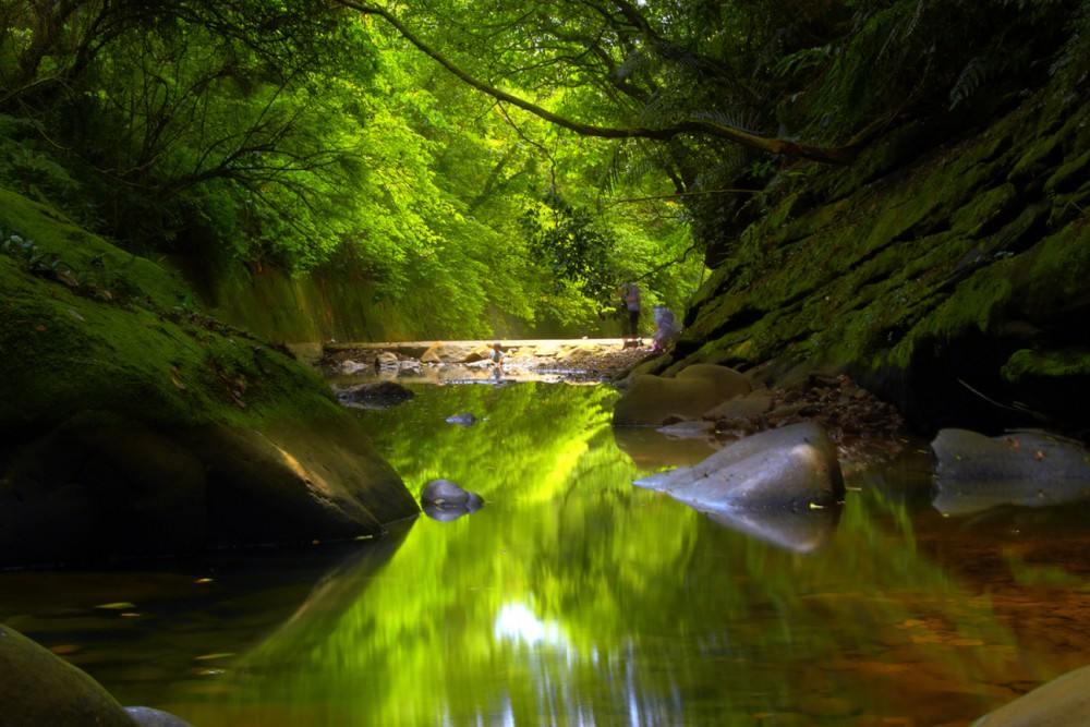 張慶聲@數位島嶼