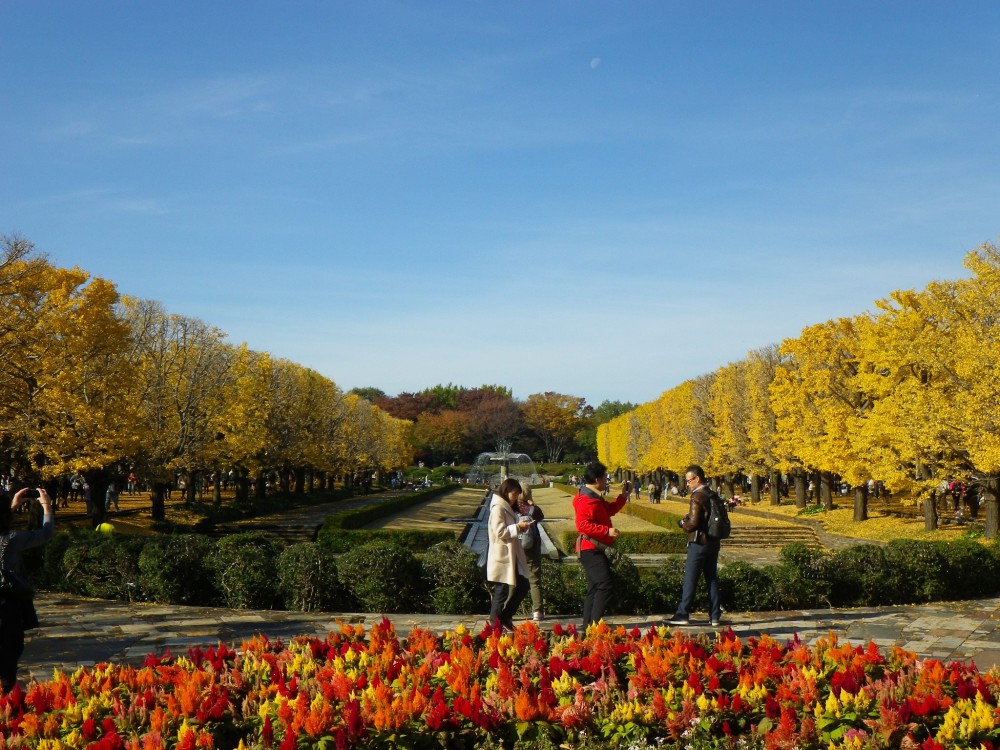 国営昭和記念公園 facebook