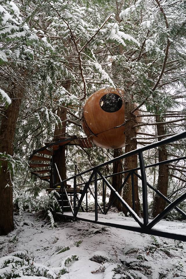 Free Spirit Spheres Facebook