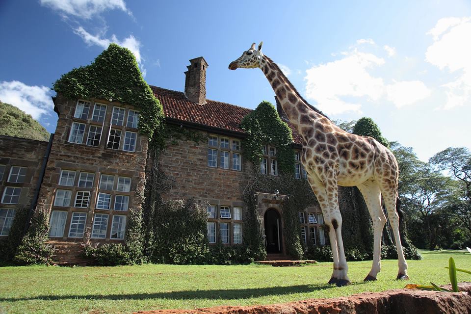 Giraffe Manor Facebook