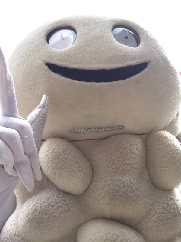 ポコねっと
