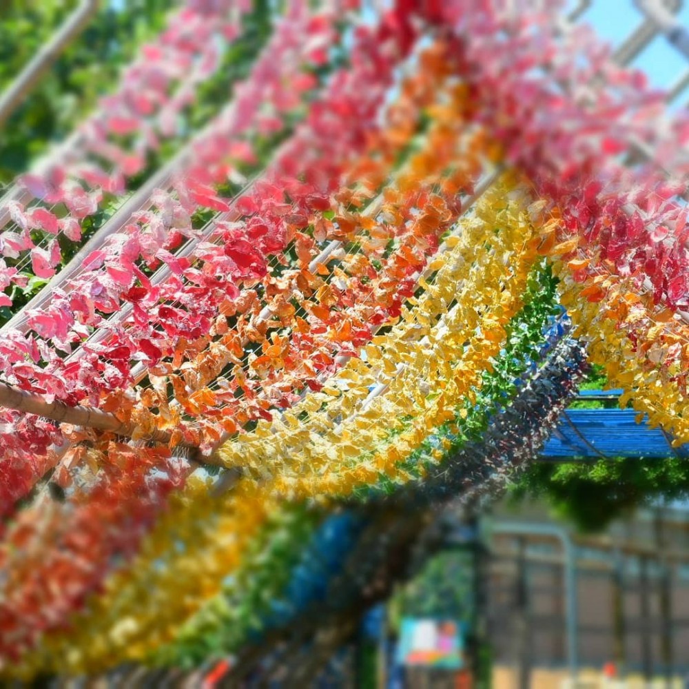 artemis7762@ Instagram授權