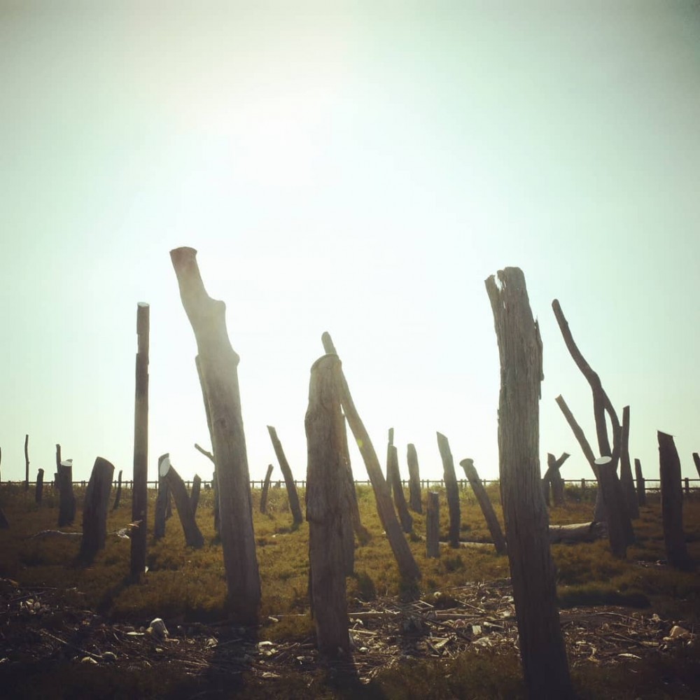 artemis7762@ Instagram授權