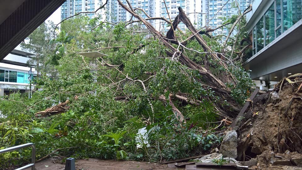 香港突發事故報料區