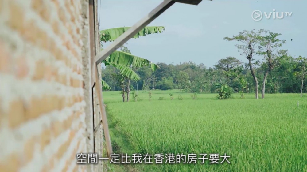《最熟悉的陌生人》