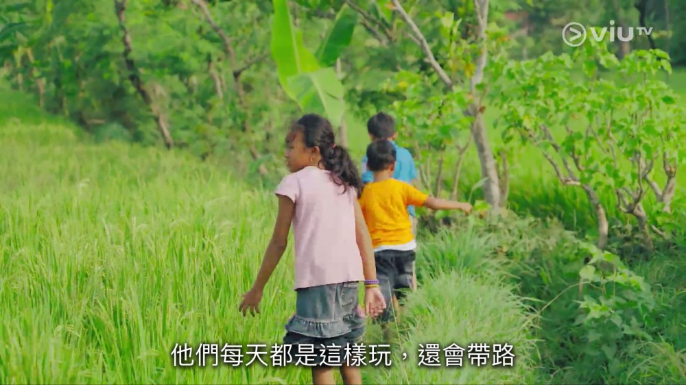 《最熟悉的陌生人》