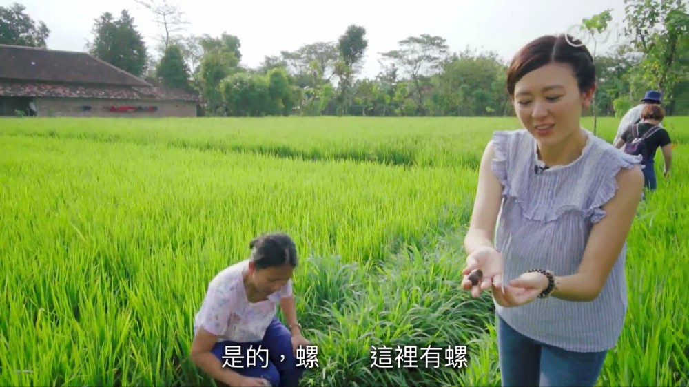《最熟悉的陌生人》