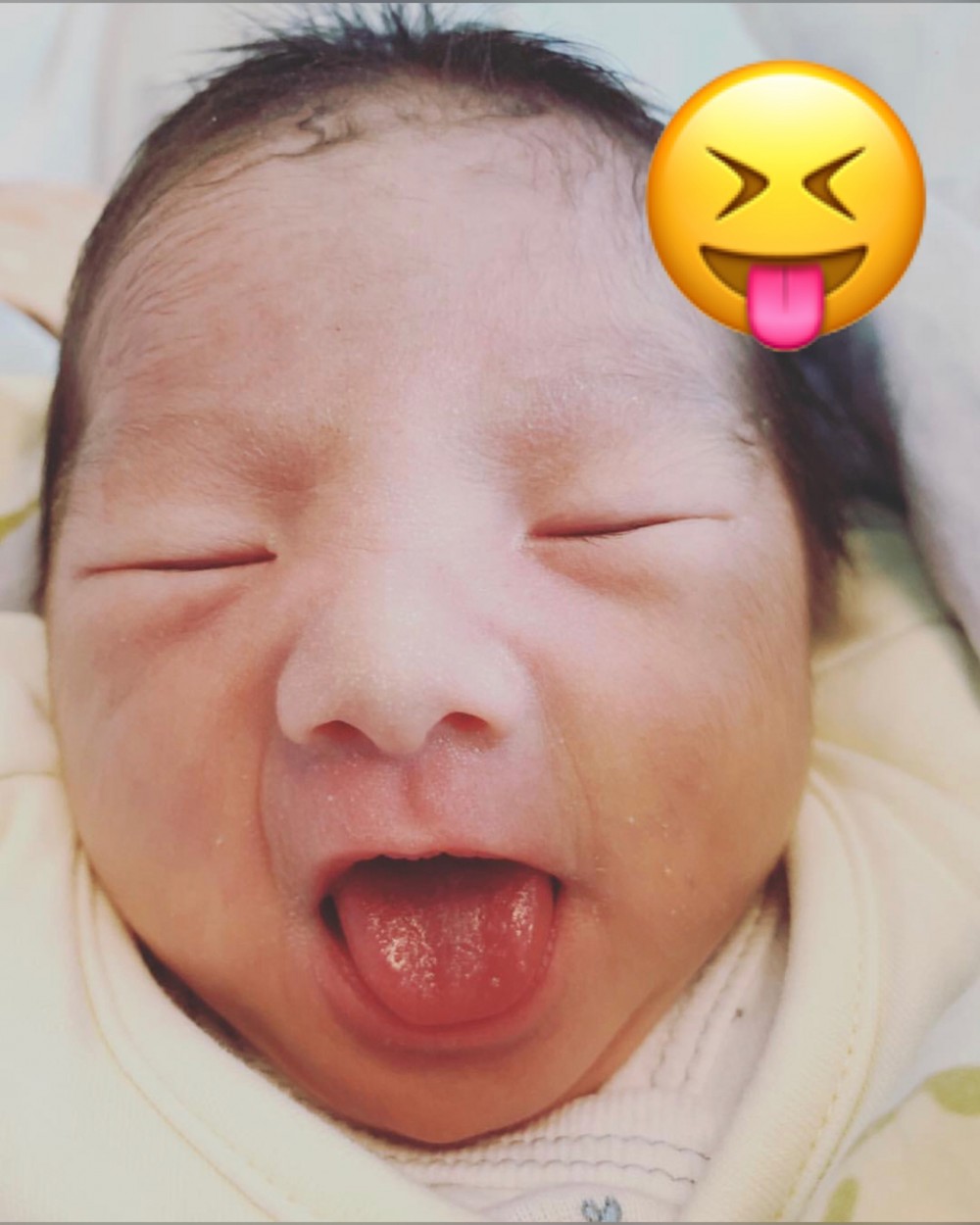 Abigail92518 Instagram + Presslogic
