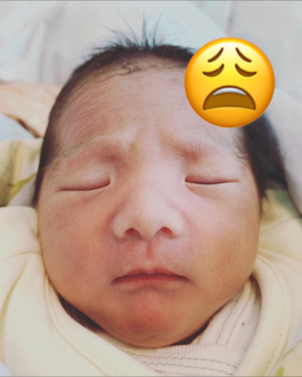 Abigail92518 Instagram + Presslogic