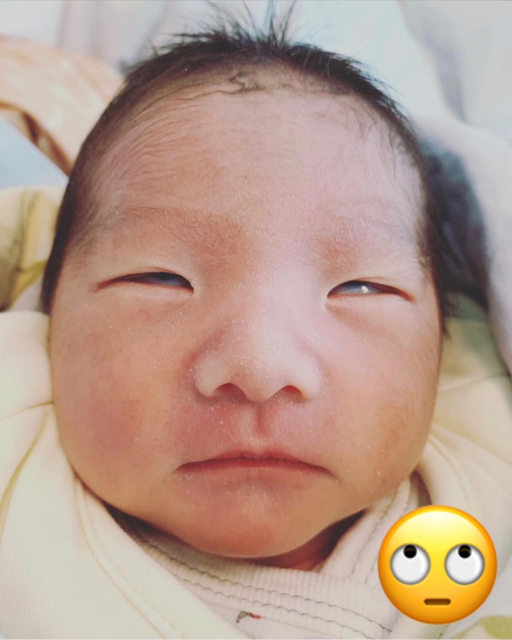 Abigail Instagram + Presslogic