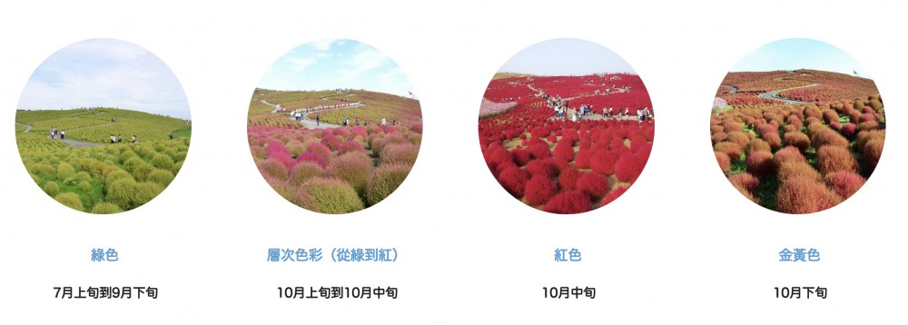 国営ひたち海浜公園