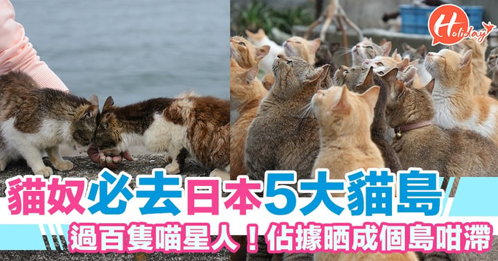 貓奴此生必去！日本5大貓島 喵星人已經佔領晒成個島喇！