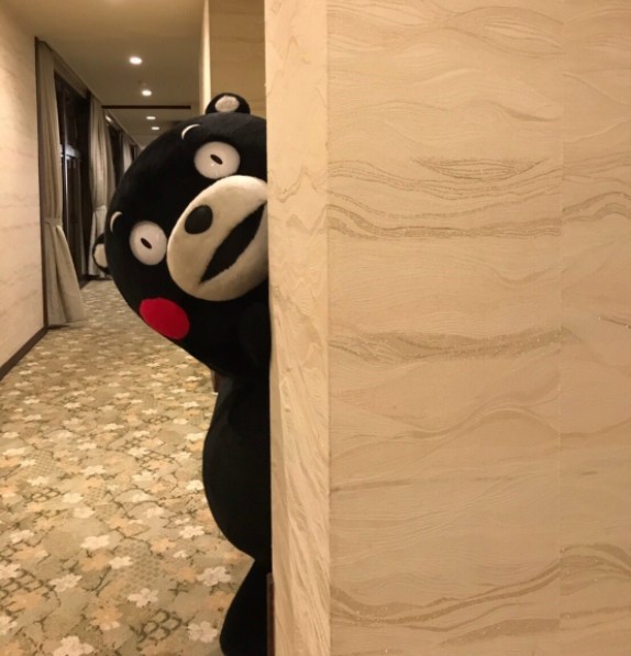 55_kumamon@twitter
