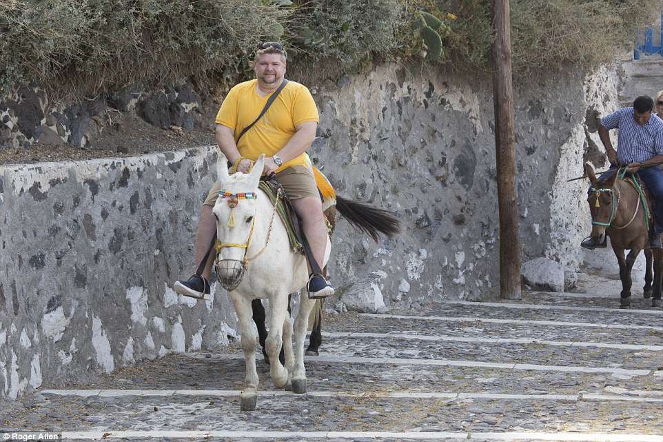 Help the Santorini Donkeys