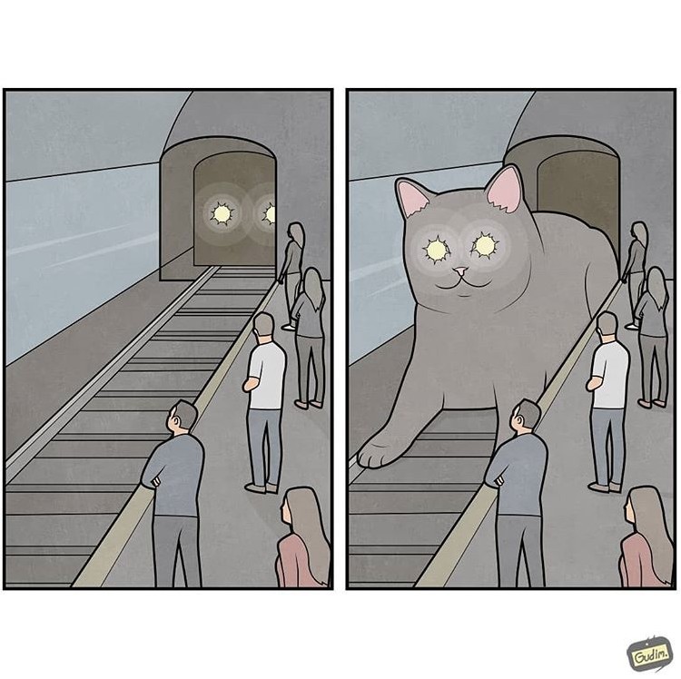 IG@gudim_public