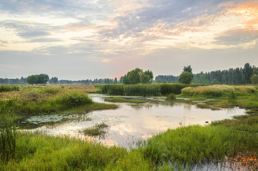 shutterstock_509654437