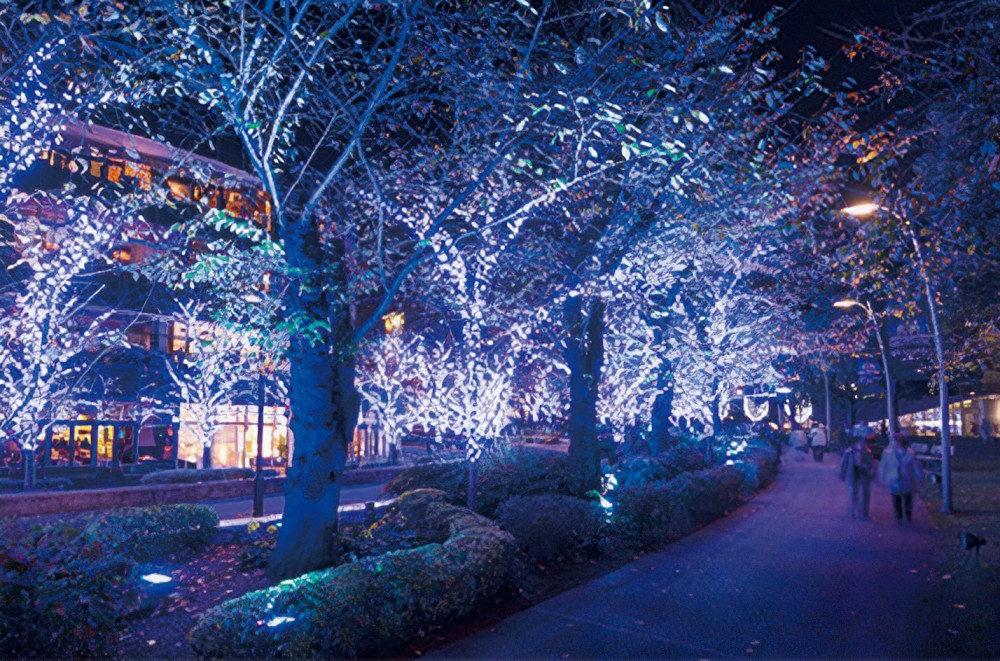 六本木ミッドタウン